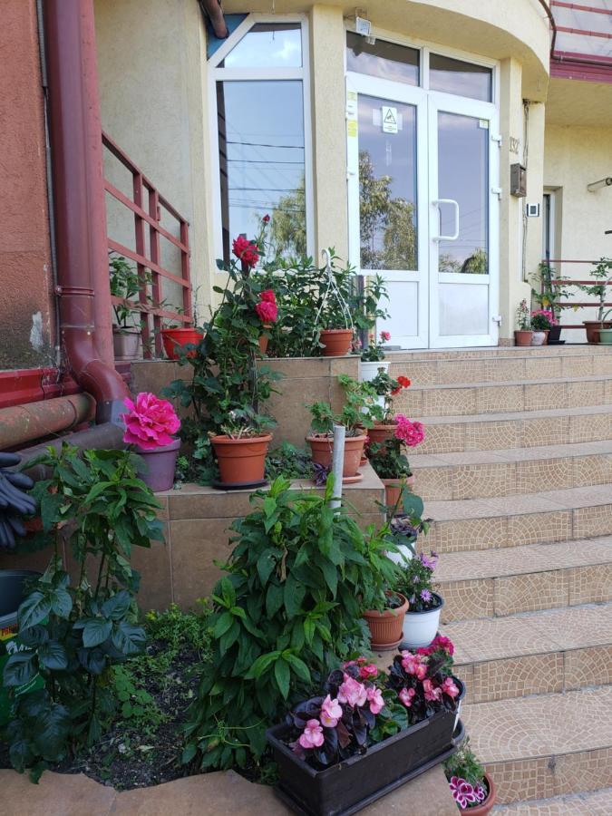 Shopping Apartment Timişoara