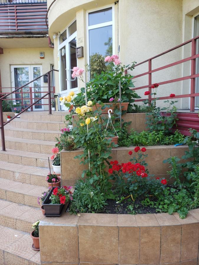 Apartment Shopping Timişoara